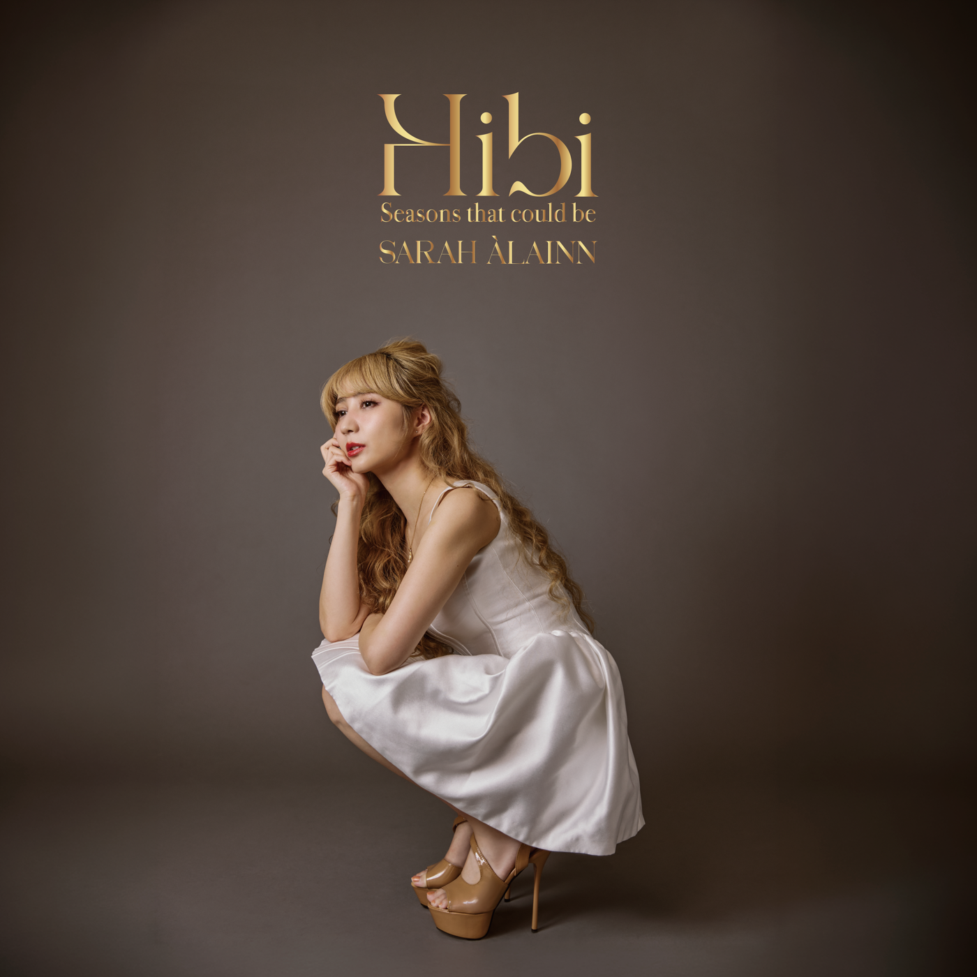 Hibi - Seasons that could be 限定盤