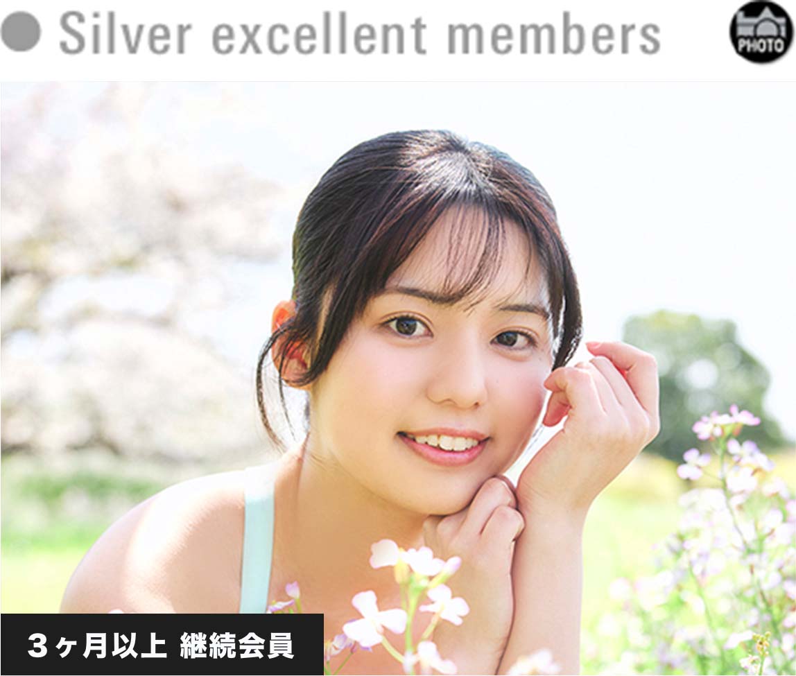 Silver excellent members