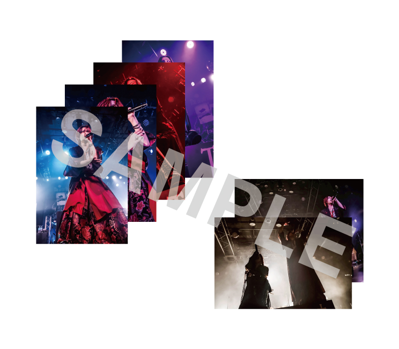 The Brow Beat FC限定 LIVE 2025「拝啓、十四歳だった少年へ。」コンプリートグッズ